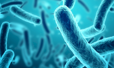 The "Oil Eating" Power of Bioremediation
