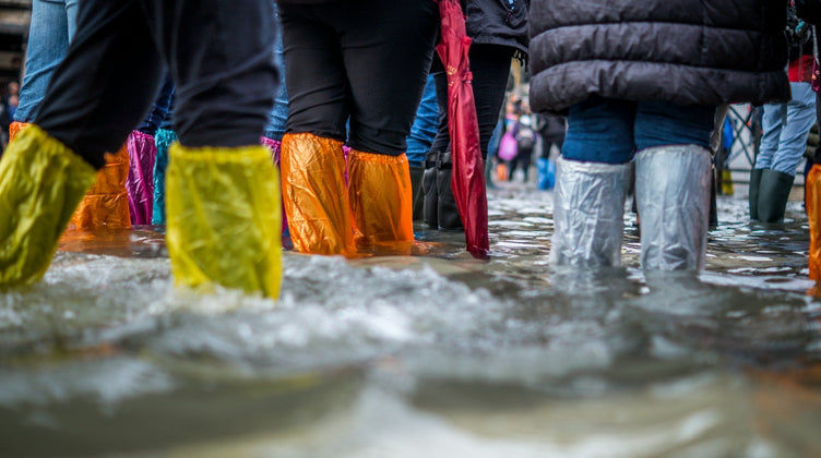 Flood and Water